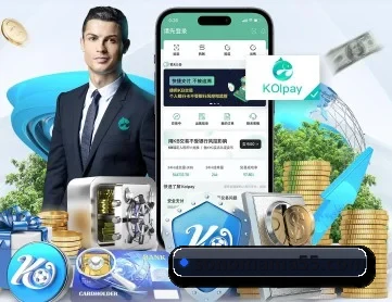 aoa网页版入口 APP 深度功能